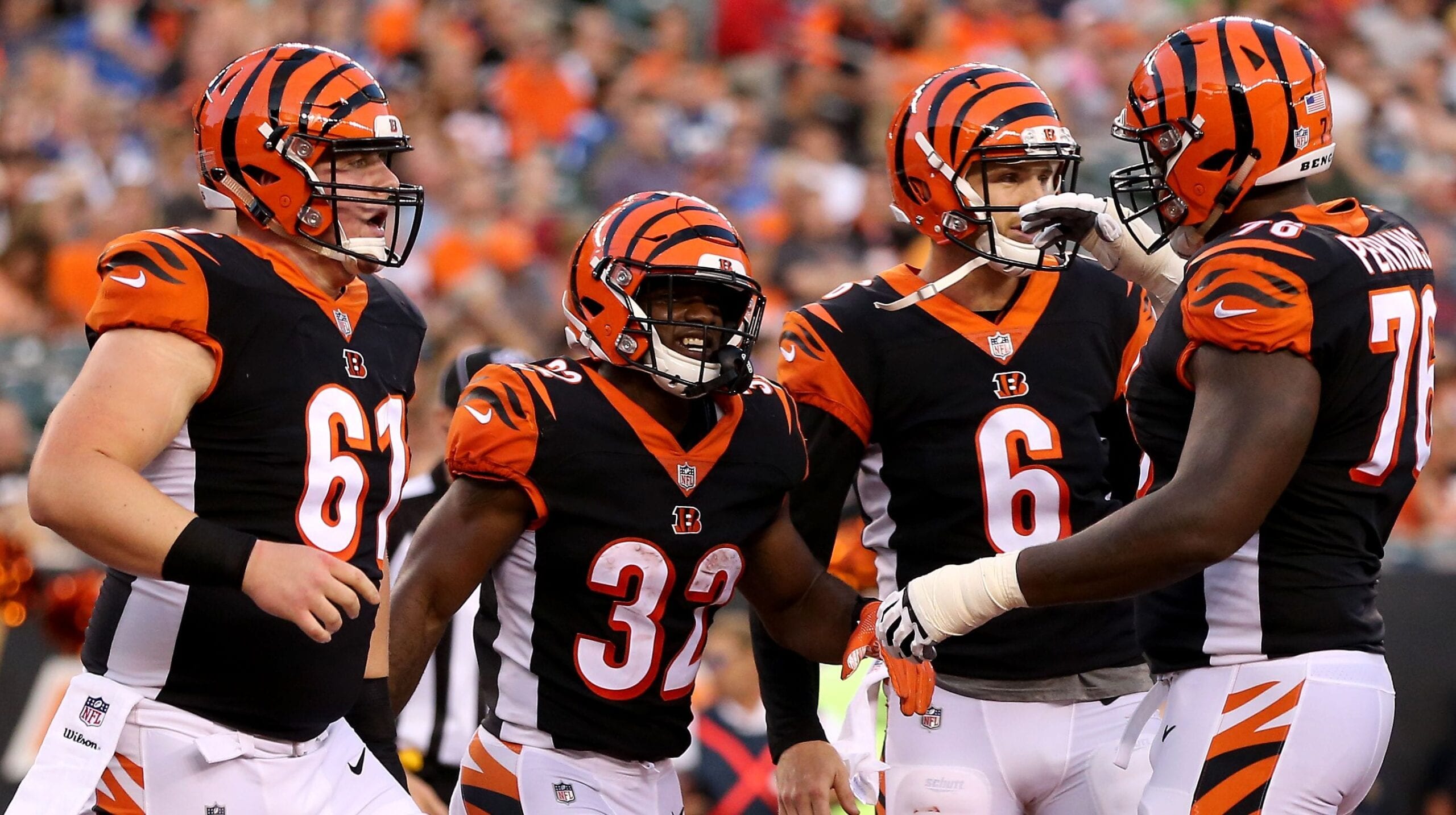 Bengals Bengals