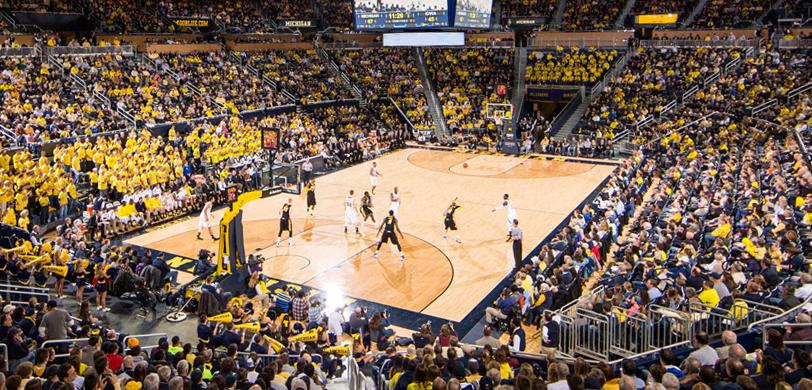 Michigan Wolverines Court Michigan Wolverines Court