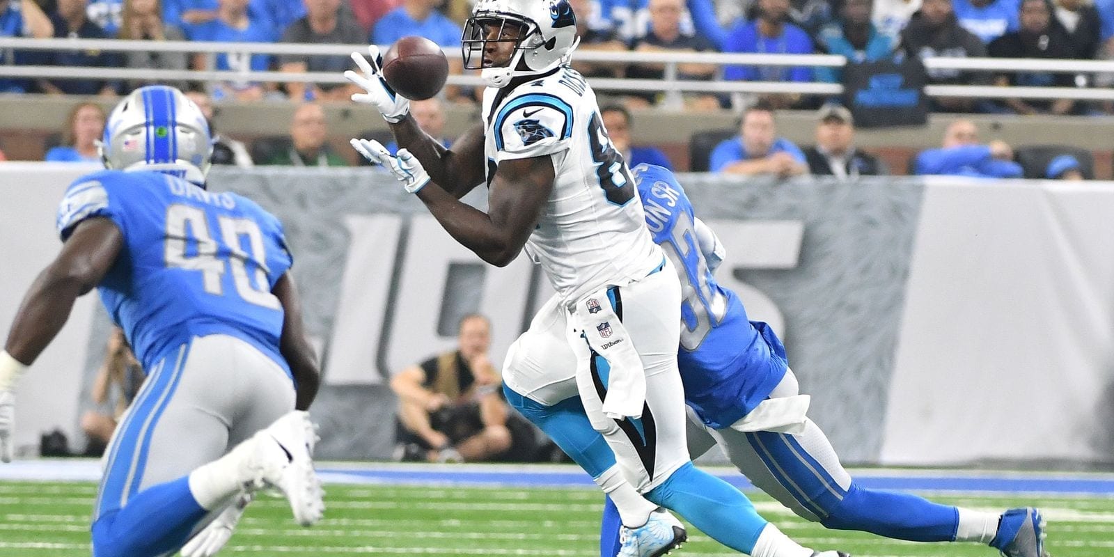 Panthers Lions Panthers Lions
