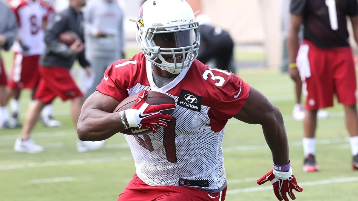 arizona-cardinals-david-johnson-600 David Johnson RB for Cardinals versus Lions