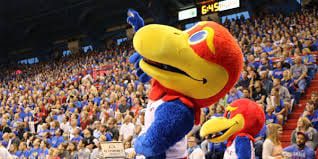 Kansas Basketball Jayhawk Kansas Basketball Jayhawk