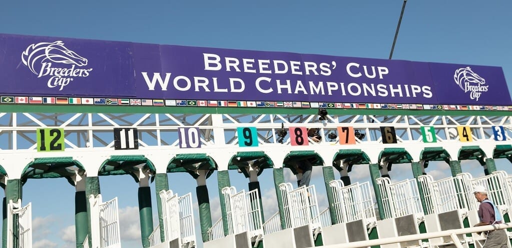 Exacta Betting Exacta Betting