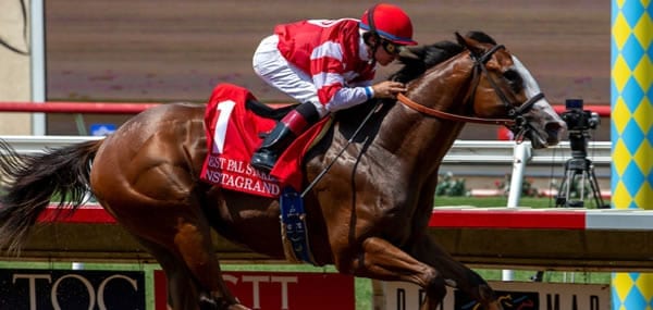 Instagrand-horse Instagrand Races in the Gotham
