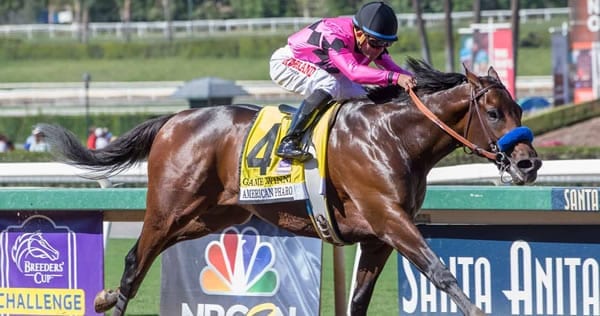 horse racing selections