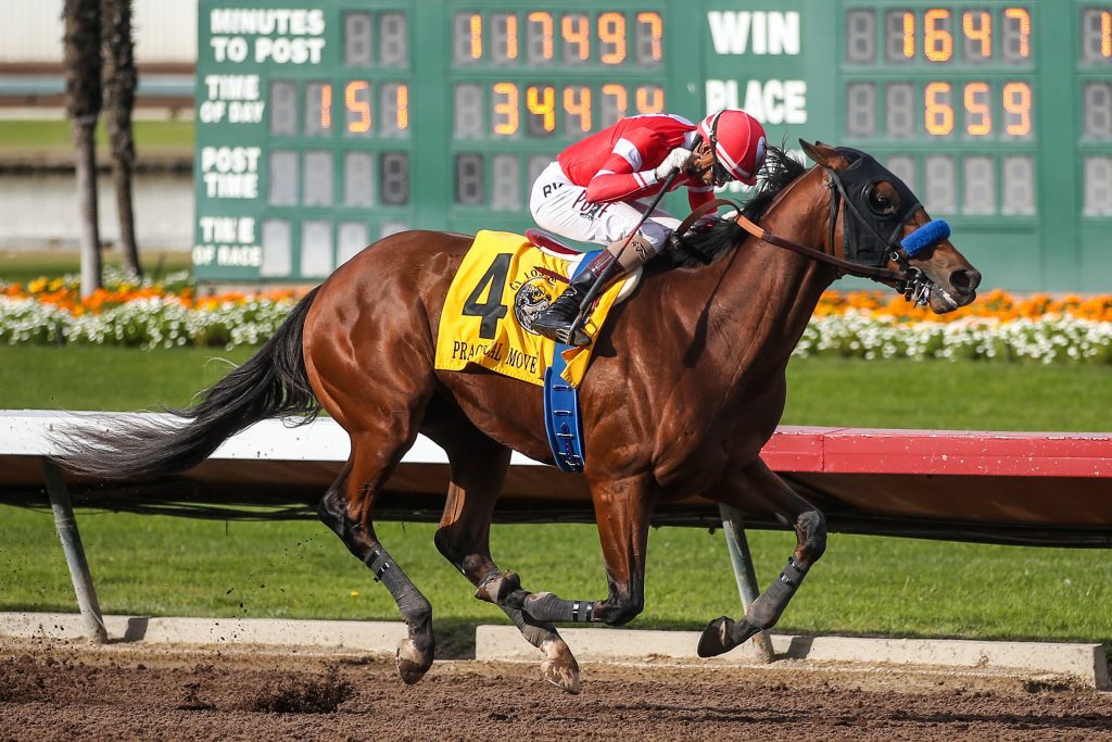 practical-move-racehorse Practical Move Racehorse