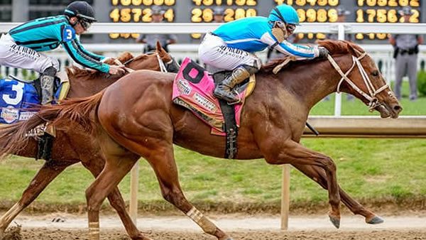 mage-kentucky-derby-winner Mage will look to double up in the Preakness Stakes