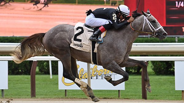 Jim Dandy Stakes 2024 Betting Preview: Expert Picks and Analysis